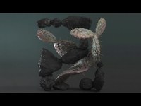 pochette album Smoke & retribution