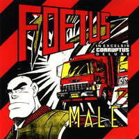 pochette album Hot horse