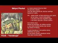 pochette album Melyni plaukai