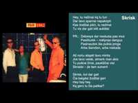 pochette album Skrisk