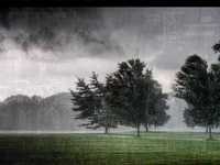 pochette album Rainy day