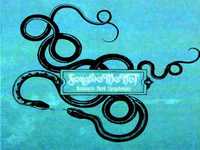 pochette album A tiny swallow song