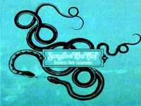 pochette album Soothe my heart