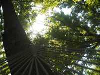 pochette album The lottery song