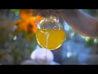 pochette album Honey