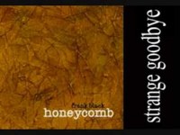 pochette album Strange goodby