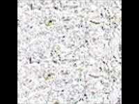 pochette album Call of the canyon