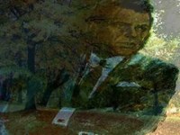 pochette album How old am i