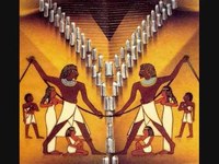 pochette album A pig with wings