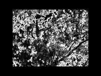 pochette album Underground freak - out music