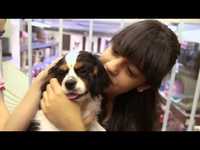 pochette album Love goes out in a circle