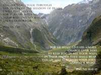 pochette album Lo i am with you