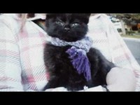 pochette album So mad