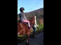 pochette album Rosie