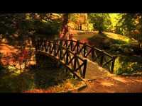 pochette album Incredible journey