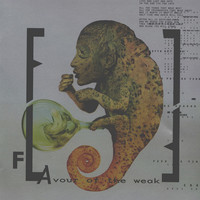 pochette album Columbian necktie