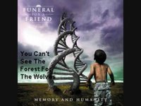 pochette album You can't see the forest for the wolves