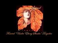 pochette album Under ebony shades