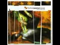 pochette album Insincerity