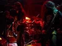 pochette album The newborn