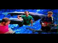 pochette album Beach foam