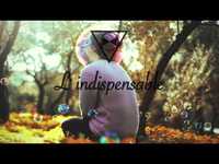 pochette album The chase