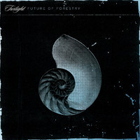 pochette album Gazing