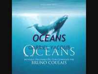 pochette album Ocean will be
