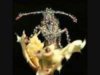 pochette album Glass jar