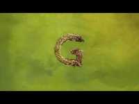 pochette album Amends