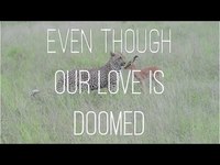 pochette album Even though our love is doomed