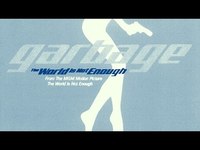 pochette album The world is not enough (unkle remix)