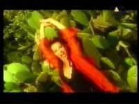 pochette album Vamonos