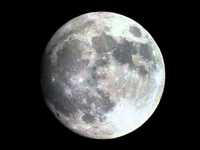 pochette album Echoes in the night