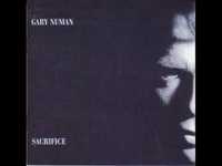 pochette album The seed of a lie