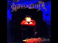 pochette album Always