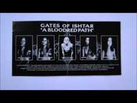 pochette album When daylight's gone