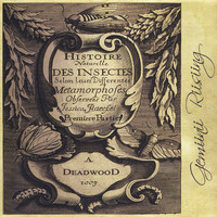 pochette album Ephemeral