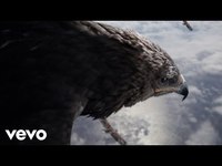 pochette album Migration feathers