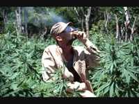 pochette album Caan hold us down