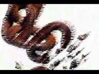 pochette album A beautiful sound