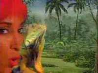 pochette album Walk the dinosaur