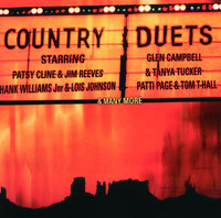 pochette album Did i ever tell you