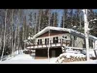 pochette album I walk the line