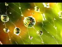 pochette album Better rain