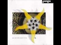 pochette album G.s.t.