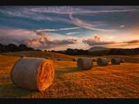 pochette album Morte saison