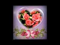 pochette album Y a tant d amour