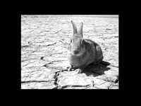 pochette album C'est un parc