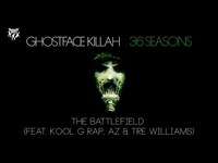 pochette album The battlefield